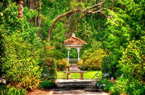 Harry leu gardens - Explore 50-acres of beautiful gardens and historic home minutes from downtown Orlando. Discover over 40 different collections including a tropical rain forest, Florida's largest formal rose garden, butterfly garden and much more! Leu Gardens is always blooming. Duration: 2-3 hours. Suggest edits to improve what we show.